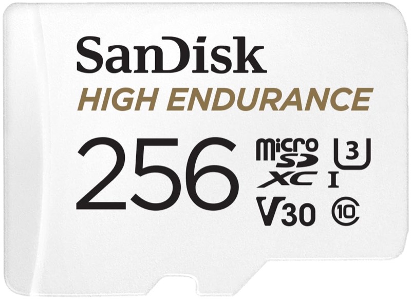 SanDisk 256GB High Endurance microSD card